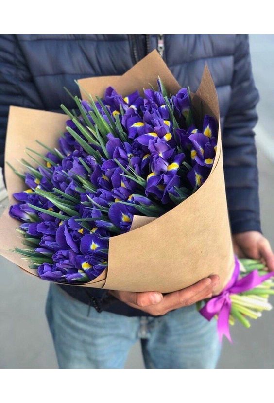  - 101 ирис в интернет-магазине Цветник 63 - доставка цветов в Самаре круглосуточно
