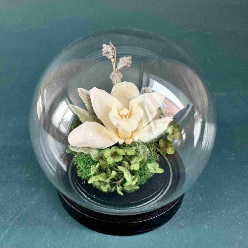Клош «Орхидея» (стаб. цветы)