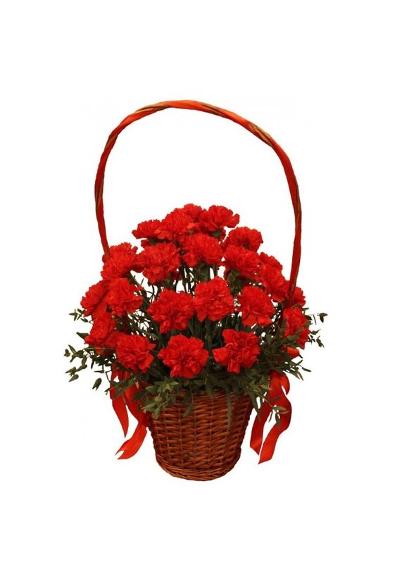 Корзина 20 гвоздик  ЦВЕТЫ - Бесплатная доставка цветов и букетов в Самаре. Заказ цветов онлайн, любой способ оплаты