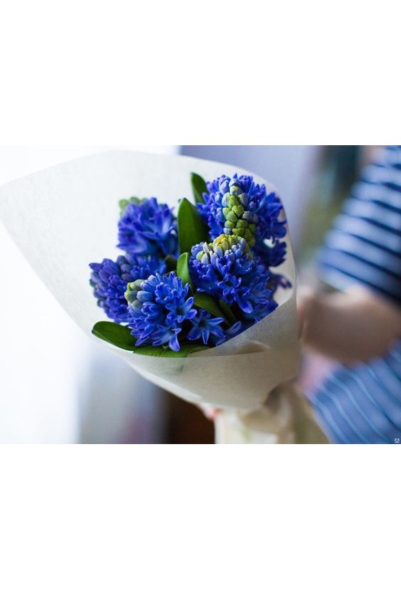 Букет "Синий бриз"   - Бесплатная доставка цветов и букетов в Самаре. Заказ цветов онлайн, любой способ оплаты