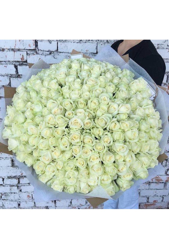  - 201 белая роза в интернет-магазине Цветник 63 - доставка цветов в Самаре круглосуточно