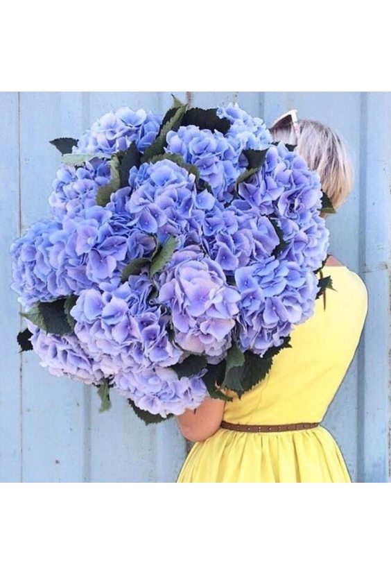  - 15 веток гортензии в интернет-магазине Цветник 63 - доставка цветов в Самаре круглосуточно