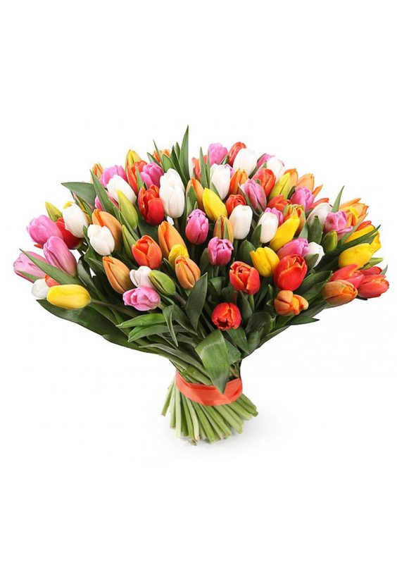  - 101 тюльпан «Весенний карнавал» в интернет-магазине Цветник 63 - доставка цветов в Самаре круглосуточно