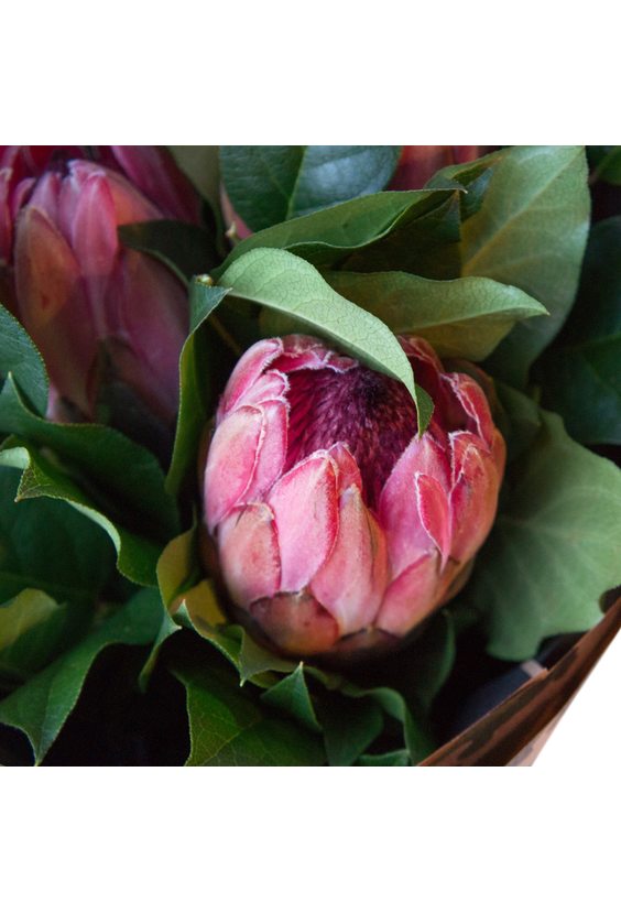 1 - Букет «Защитнику» в интернет-магазине Цветник 63 - доставка цветов в Самаре круглосуточно