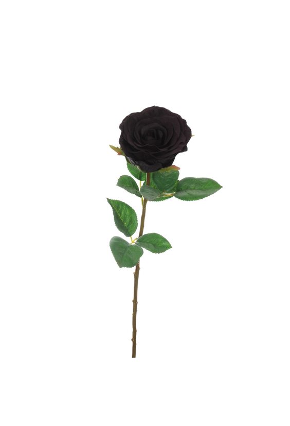Чёрная роза