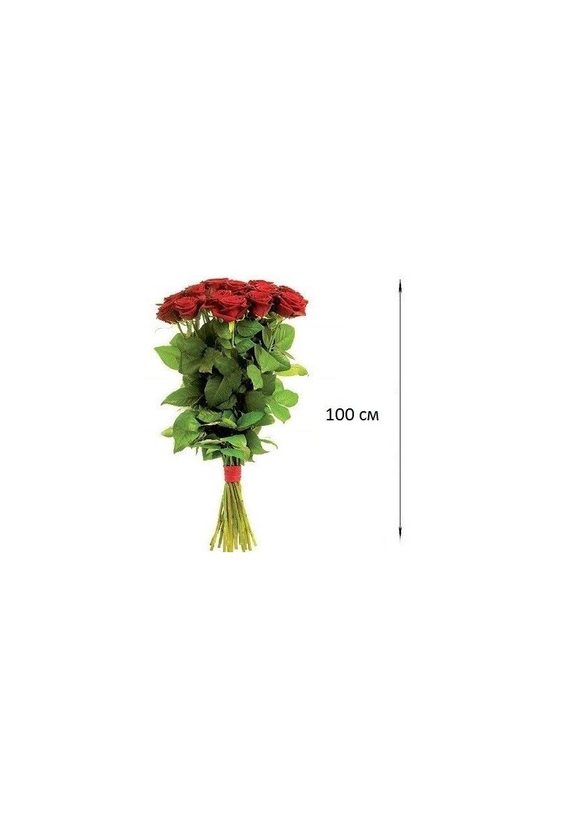  - 15 шт. метровых роз в интернет-магазине Цветник 63 - доставка цветов в Самаре круглосуточно