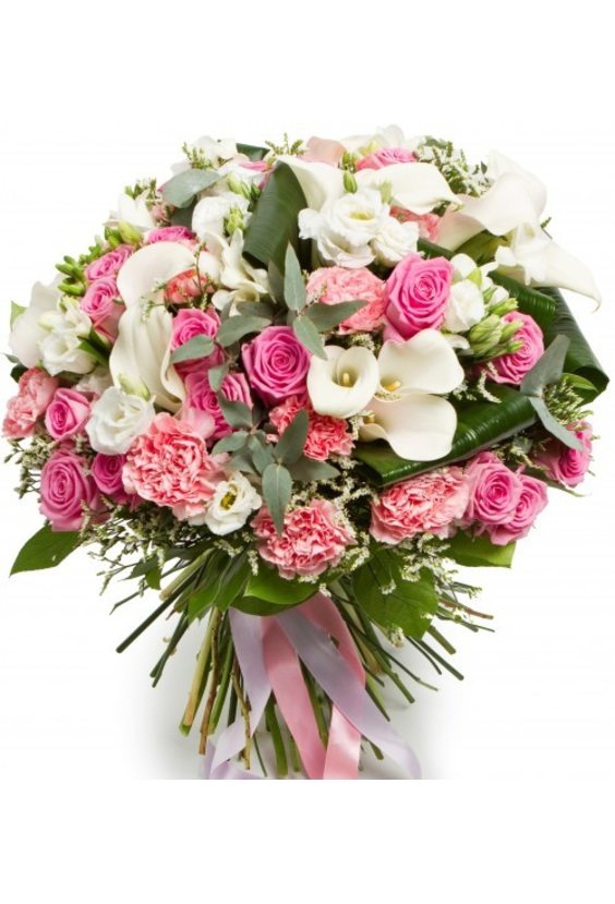 Букет "Афродита"  Гвоздика - Бесплатная доставка цветов и букетов в Самаре. Заказ цветов онлайн, любой способ оплаты