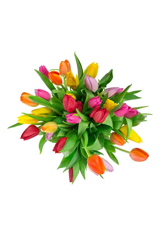 ТЮЛЬПАН  ЦВЕТЫ - Бесплатная доставка цветов и букетов в Самаре. Заказ цветов онлайн, любой способ оплаты