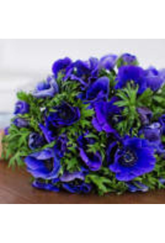 2 - Анемон в интернет-магазине Цветник 63 - доставка цветов в Самаре круглосуточно