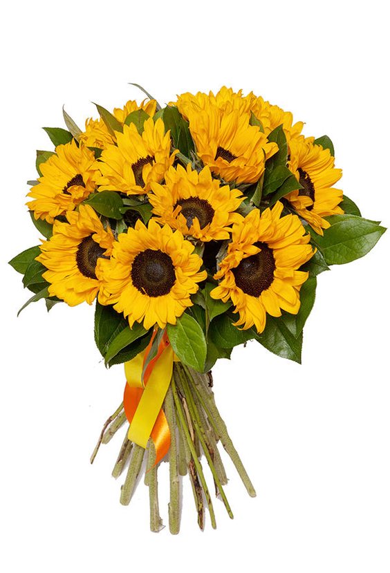 Букет «25 подсолнухов»  Подсолнух - Бесплатная доставка цветов и букетов в Самаре. Заказ цветов онлайн, любой способ оплаты