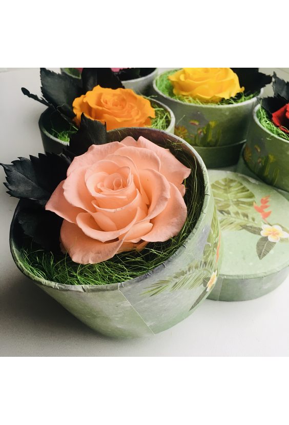 Роза в коробочке (стаб. цветы)   - Бесплатная доставка цветов и букетов в Самаре. Заказ цветов онлайн, любой способ оплаты