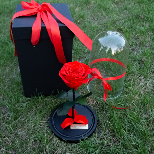 Вау-коробка для розы в колбе