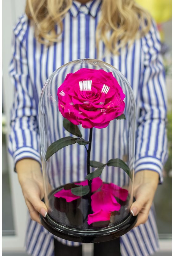 Роза в колбе King Size  14 февраля "День Влюбленных!" - Бесплатная доставка цветов и букетов в Самаре. Заказ цветов онлайн, любой способ оплаты