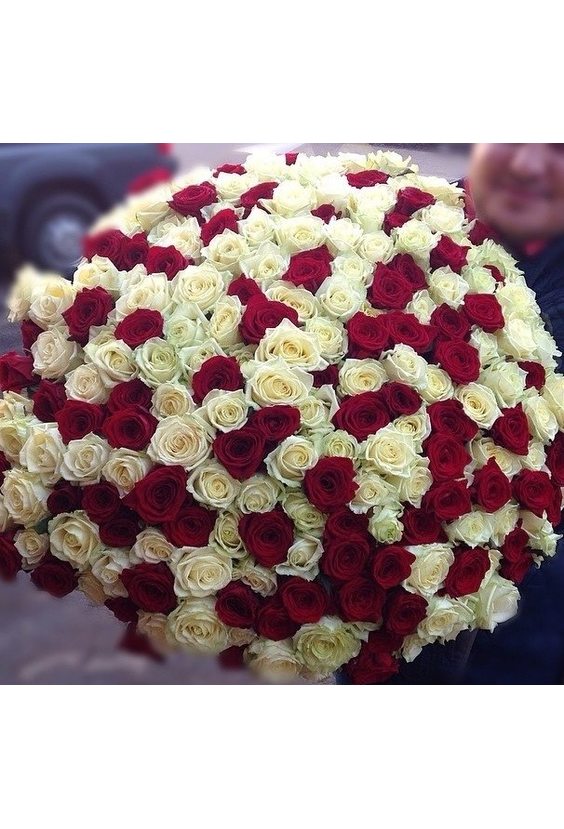 151 красно-белая роза  101 роза  - Бесплатная доставка цветов и букетов в Самаре. Заказ цветов онлайн, любой способ оплаты
