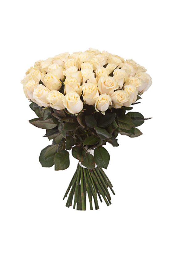 Букет из 51 кремовой розы  ЦВЕТЫ - Бесплатная доставка цветов и букетов в Самаре. Заказ цветов онлайн, любой способ оплаты