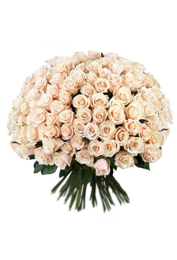 Букет из 201 кремовой розы  ЦВЕТЫ - Бесплатная доставка цветов и букетов в Самаре. Заказ цветов онлайн, любой способ оплаты