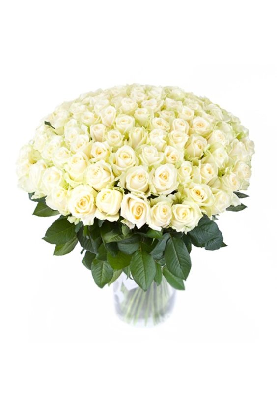 Букет из 101 белых роз  ЦВЕТЫ - Бесплатная доставка цветов и букетов в Самаре. Заказ цветов онлайн, любой способ оплаты