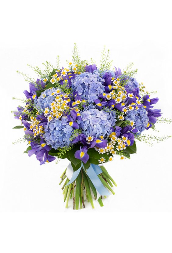  - Букет с ирисами «Летняя сказка» в интернет-магазине Цветник 63 - доставка цветов в Самаре круглосуточно