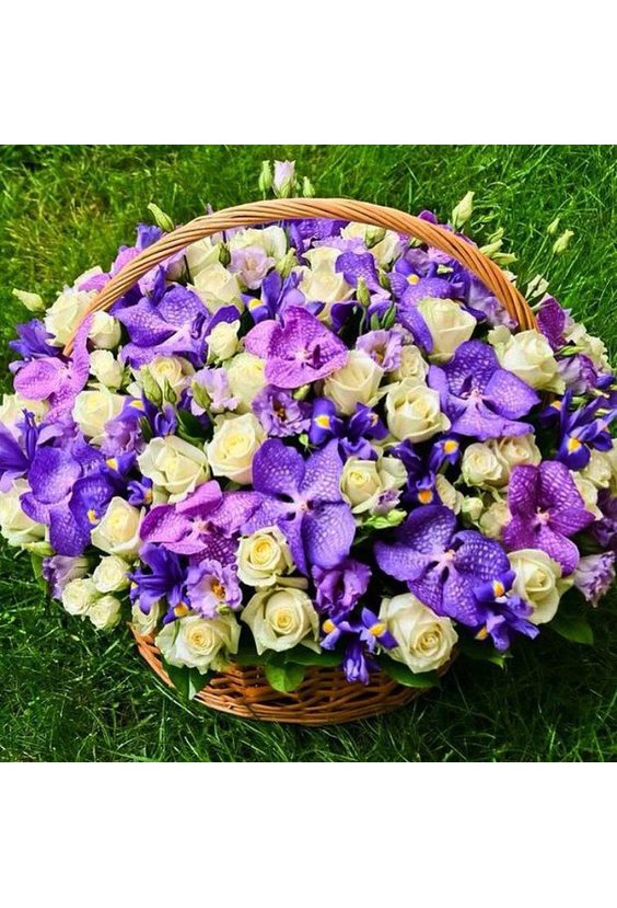 Корзина с Орхидеями  ЦВЕТЫ - Бесплатная доставка цветов и букетов в Самаре. Заказ цветов онлайн, любой способ оплаты