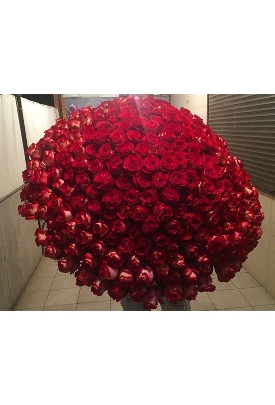  - Букет из 501 розы в интернет-магазине Цветник 63 - доставка цветов в Самаре круглосуточно