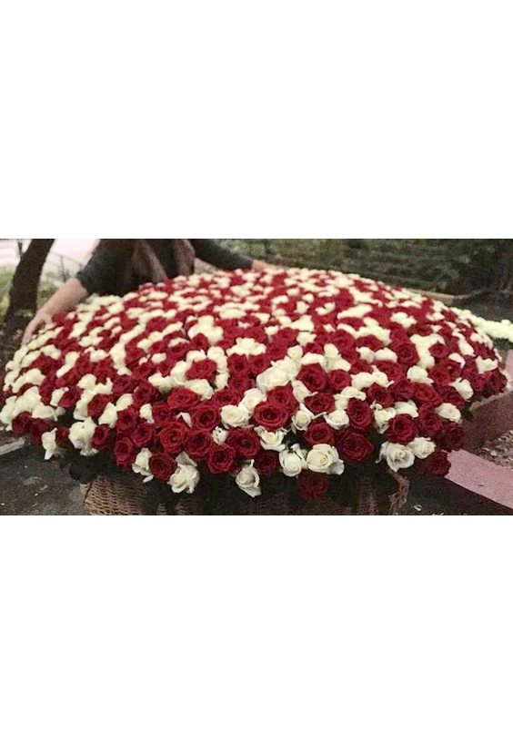 Mix 501 роза   - Бесплатная доставка цветов и букетов в Самаре. Заказ цветов онлайн, любой способ оплаты