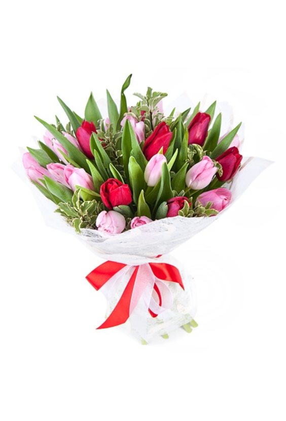 Букет «Тюльпановый сюрприз» (25 шт.)  Букеты - Бесплатная доставка цветов и букетов в Самаре. Заказ цветов онлайн, любой способ оплаты