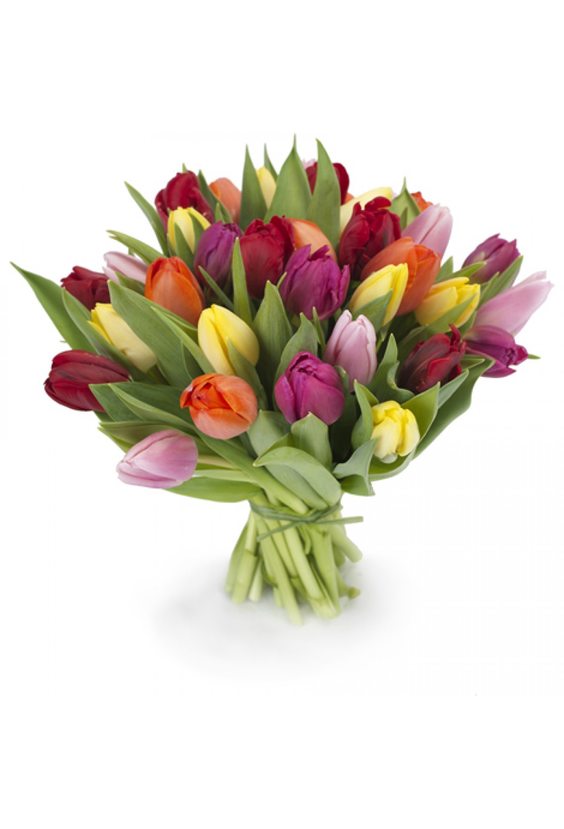 Букет 25 тюльпанов   - Бесплатная доставка цветов и букетов в Самаре. Заказ цветов онлайн, любой способ оплаты