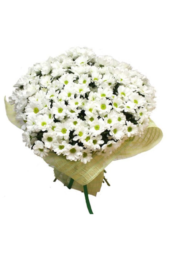 Букет № 98  STANDART Букеты (до 3000) - Бесплатная доставка цветов и букетов в Самаре. Заказ цветов онлайн, любой способ оплаты