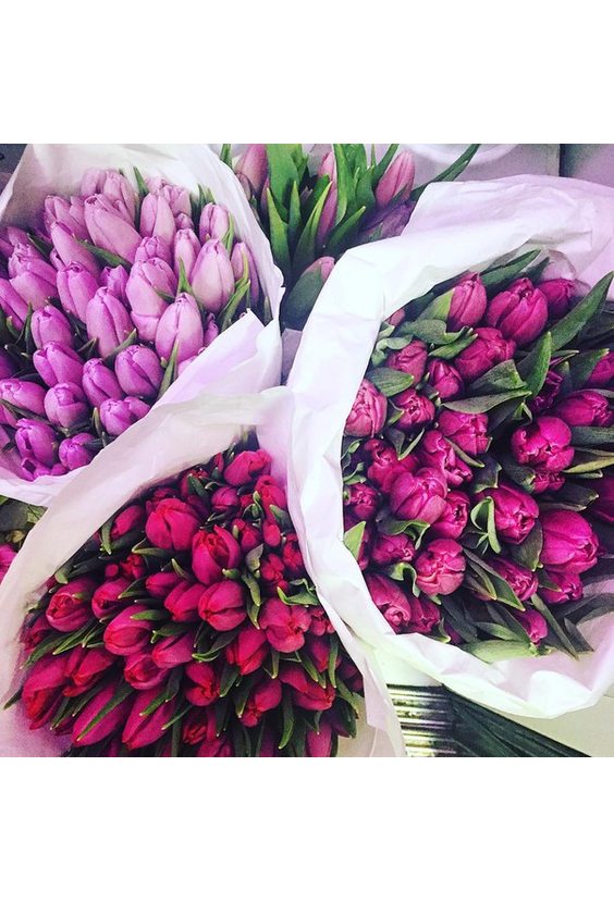 Тюльпан 1шт. "Цвета разные"  Тюльпаны - Бесплатная доставка цветов и букетов в Самаре. Заказ цветов онлайн, любой способ оплаты