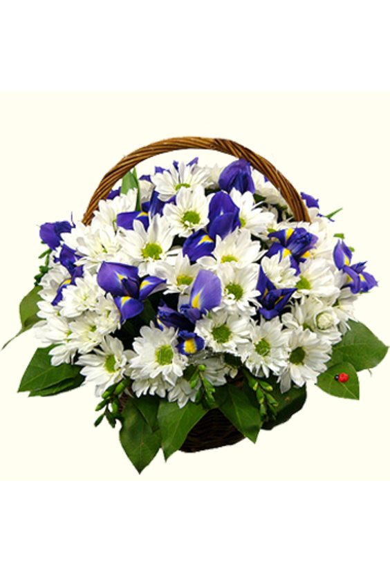 Корзина цветов  Корзины с цветами - Бесплатная доставка цветов и букетов в Самаре. Заказ цветов онлайн, любой способ оплаты