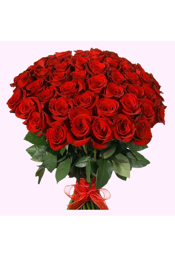 Букет из 51 розы Эквадор (60 см)  Розы Эквадор - Бесплатная доставка цветов и букетов в Самаре. Заказ цветов онлайн, любой способ оплаты